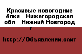 Красивые новогодние ёлки - Нижегородская обл., Нижний Новгород г.  »    